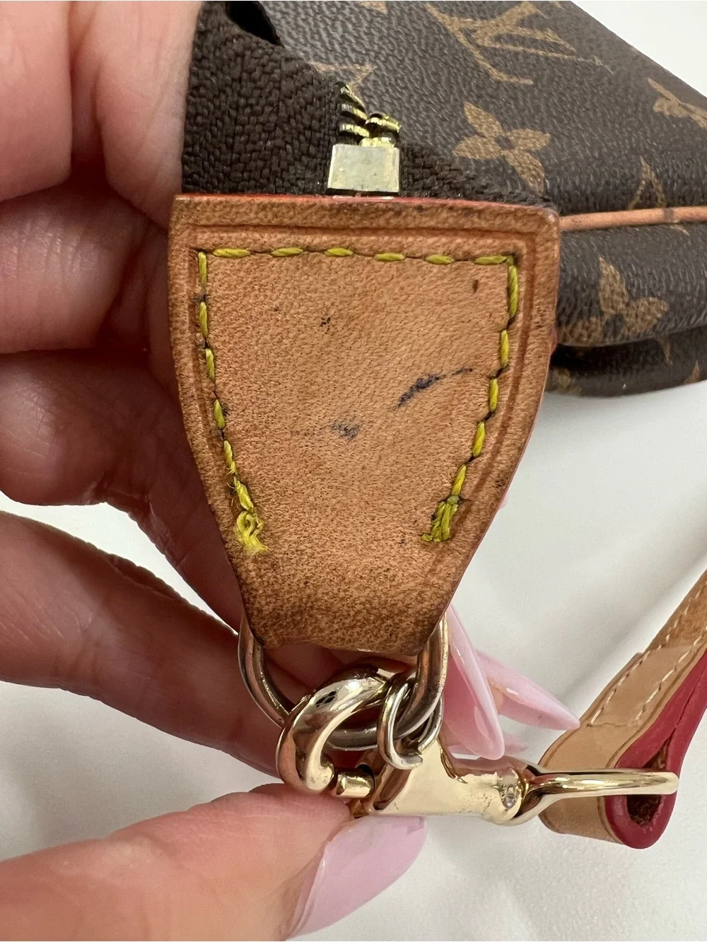 Project Bag Louis Vuitton Eva Monogram Canvas Clutch Bag_16